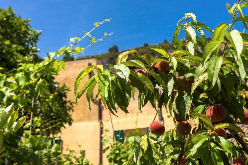 Agriturismo La Selva Hotel Finale Ligure Exterior photo