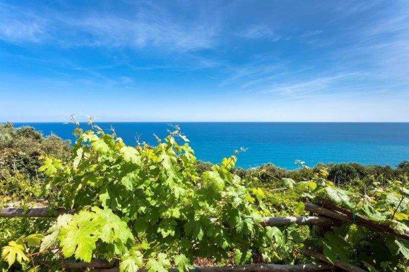 Agriturismo La Selva Hotel Finale Ligure Exterior photo