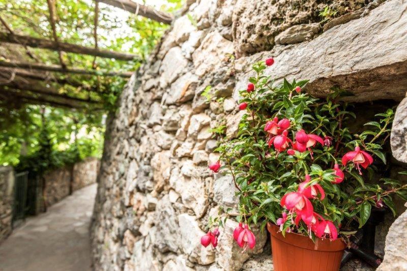 Agriturismo La Selva Hotel Finale Ligure Exterior photo