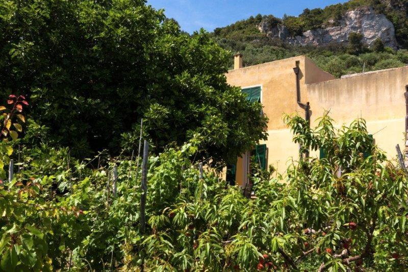 Agriturismo La Selva Hotel Finale Ligure Exterior photo